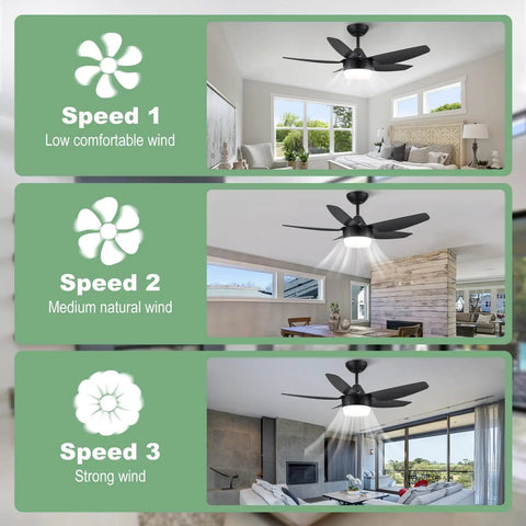 40 Inch Black Ceiling Fan With Lights And Remote Modern Indoor Ceiling Fan With Dimmable Lights Reversible Five Blade Design Quiet Motor