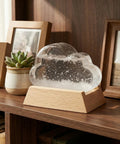 Cloud Storm Glass Weather Forecaster Desktop Weather Station Predictor For Home Office Decor Cute Cloud Bottle Desk Decor