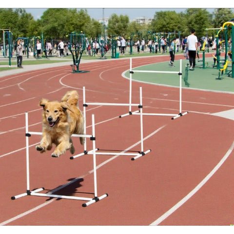 Dog jumping over 4-bar hurdles on a track with Indoor Outdoor Dog Agility Jump Set With 4 Bar Hurdles in a park setting