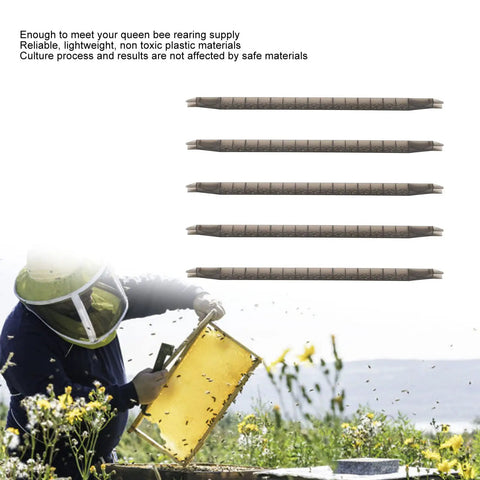 5 Piece Bee Cell Cups Kit For Queen Rearing with plastic bars and beekeeper at work in field.