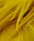 Close-up of Yellow Saddle Hackle Feathers For Fly Tying Pro Grade Pack Of Four To Six Inch Rooster Feathers Mixed Colors For Crafting