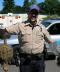 Animal control officer using Animal Handling Gloves Bite Proof With Double Leather Reinforcement For Dogs Cats Birds Falcons Reptiles And More 16 Inch Grey Black Beefy Heavy Duty Grip And Forearm Protection For Safe Capture And Handling, holding a turtle outside an animal control unit.