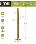 Built Legit Quarter Inch By Three Quarter Structural Lag Screws Fifty Pack With Torx Star Drive, 3.25 inch length, washer head, self-tapping.