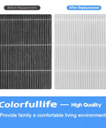 Two Pack 116130 Replacement Filter H For Winix 5500-2 Air Purifier, True HEPA Filter And Activated Carbon Filter Combo Pack before and after use