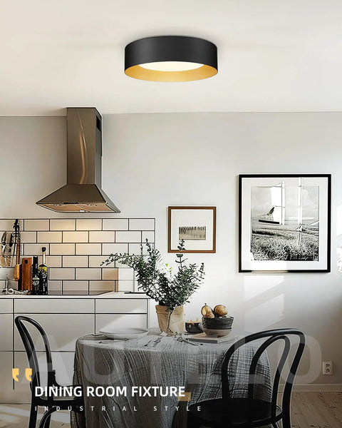 Close To Ceiling Flush Mount Light 14 Inch Frosted Glass Shade In Black Finish E26 Socket Dope Modern Ceiling Fixture For Living Room Hallway Bedroom 60W Max Bulb Not Included Easy Install Sleek And Stylish