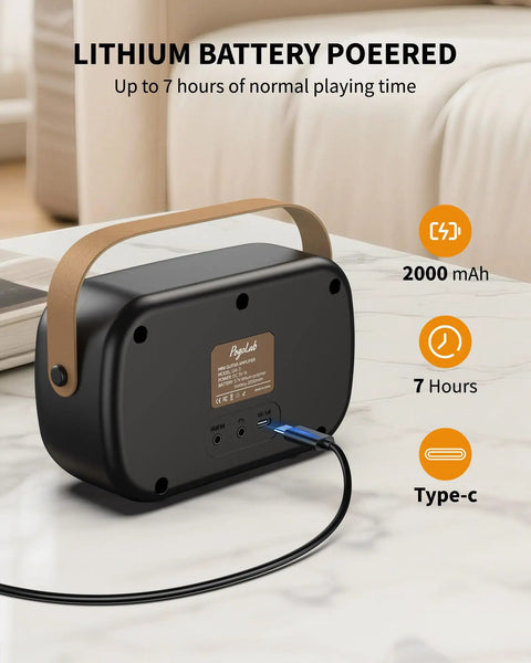 Back view of Compact 5W Per Channel Guitar Amp, Portable Battery Powered Practice Speaker with Type-C charging port and handle.