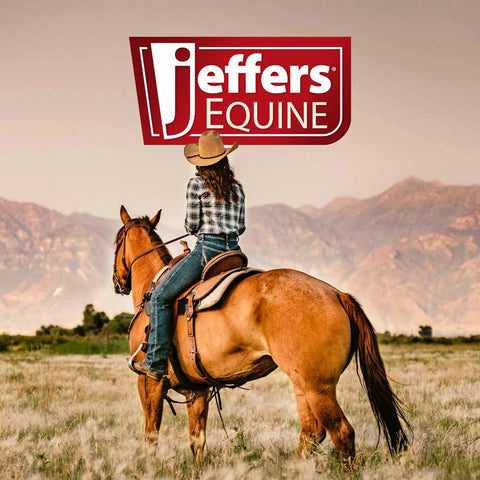 Rider on horse in field with mountains, promoting 4 Mm Stud Chain Lead with Bolt Snap and Swivel Eye End, nickel plated, 20 inch.