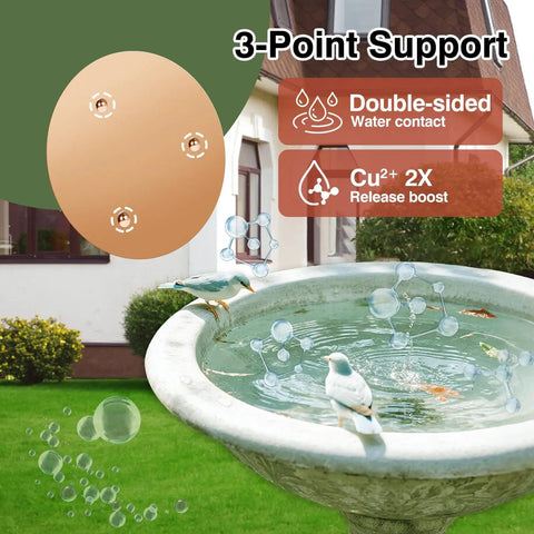 Copper Disc Bird Bath Purifier Plate With Three Point Support For Outdoor Use Keeps Water Clean Naturally Purified By Pure Copper Action 99.99 Percent Pure Copper With Patina Layer To Help Backyard Birds Stay Hydrated installed in a bird bath with floating bubbles and birds