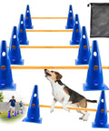 Backyard Agility Course Set With Low Hurdles And Cone Obstacles For Pups And All Breed Sizes featuring blue cones and poles.