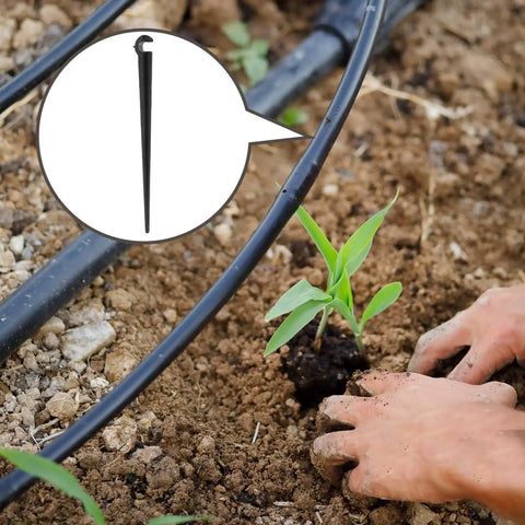 50 Count Garden Irrigation Stakes And Drip Pole Holders For Tubing And Hose No Tools Needed Easy Install Durable ABS Construction Stable Watering Brackets For Gardens Farms And Greenhouses