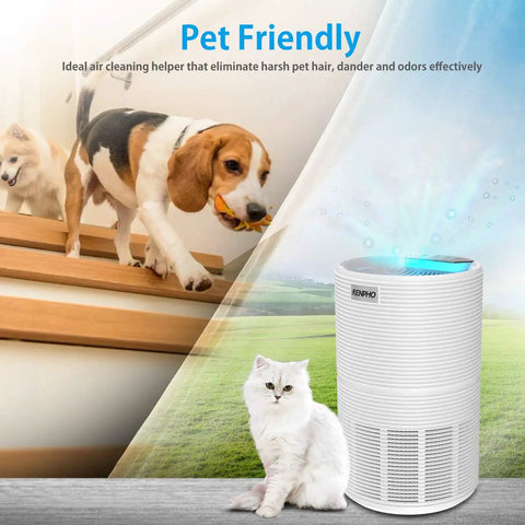 True HEPA Replacement Filter For RP-AP088W And RP-AP088B Air Purifier; dog and cat with air purifier for pet odor control