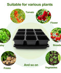 Seed starter trays for 50 Pack Three Point Five Inch Square Seedling Pots with Drain Holes, surrounded by suitable plant images.