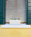 16 Inch Window Box Planter With Tray Lightweight Plastic Rectangular Pot For Balcony Or Windowsill Great For Herbs Succulents Cacti Flowers Or Faux Plants With Drainage Holes And Attached Saucer installed on a windowsill