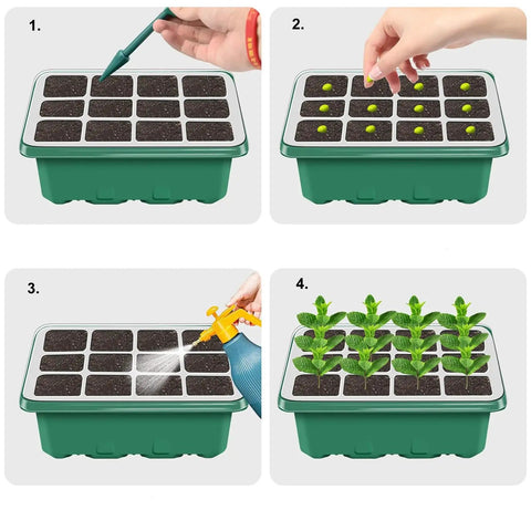 4-step process using 5 Pack 60 Cell Seed Starter Trays With Built In Grow Light Kit Humidity Dome And Base Plug And Grow Indoor Seed Germination Kit