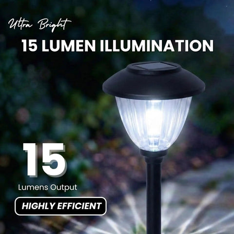 Eight Pack Solar Walkway Lights With Patterned Glass And Metal Finish, 15 Lumen Outdoor Landscape Lighting in garden.