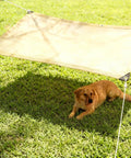 Dog resting under 90 Percent Shade Cloth 9x30ft UV Block Outdoor Go To Patio Shade Cover Permeable And Tear Fade Resistant Sunshade in yard.