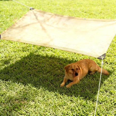 Dog resting under 90 Percent Shade Cloth 9x30ft UV Block Outdoor Go To Patio Shade Cover Permeable And Tear Fade Resistant Sunshade in yard.