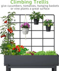 Metal Raised Garden Bed With Trellis And 2 Tier Storage Shelf, Elevated planter showing crops and pots on trellis.