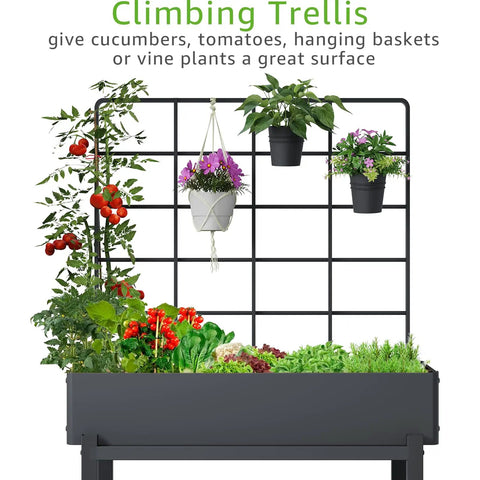Metal Raised Garden Bed With Trellis And 2 Tier Storage Shelf, Elevated planter showing crops and pots on trellis.