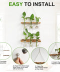Wall Hanging Plant Propagation Station With 6 Glass Bulb Vases Two Tier Wooden Terrarium Stand For Hydroponics setup guide