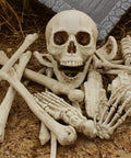 28 Piece Skeleton Bones And Skull Set For Halloween Decor Spooky Graveyard Ground Props with realistic skull and bones