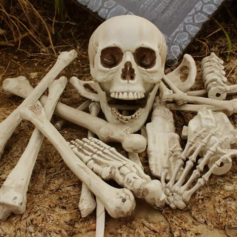 28 Piece Skeleton Bones And Skull Set For Halloween Decor Spooky Graveyard Ground Props with realistic skull and bones