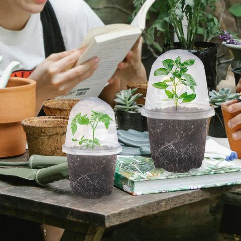 Clear Seed Starter Pots With Humidity Domes, 4 Inch Plastic Nursery Pots For Indoor Outdoor Gardening, 10 Pack on table