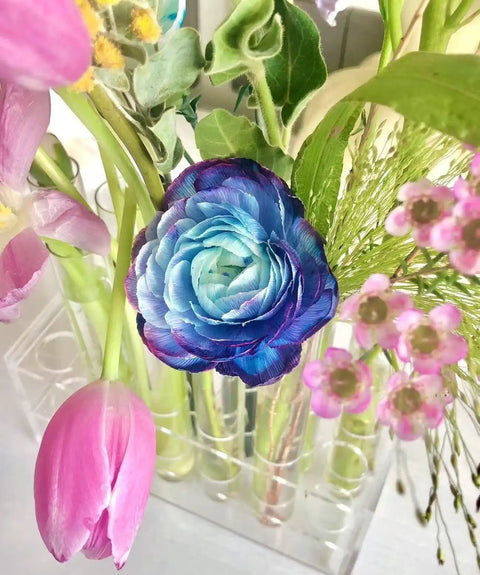 Clear Acrylic Test Tube Holder Rack With 16mm Wells 12 Unit Lab Organizer holding colorful flowers
