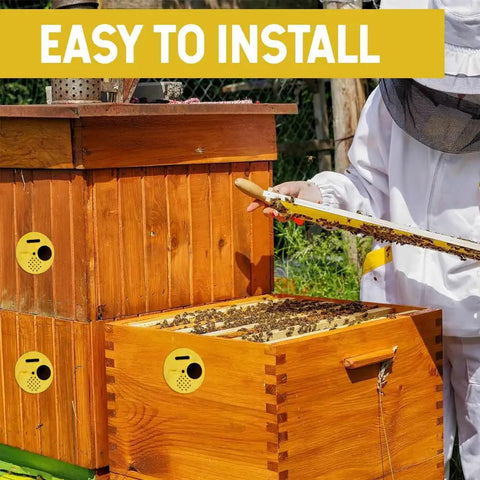 Beekeeping Entrance Gate Set for Nuc Boxes installed on wooden hive with beekeeper handling frame