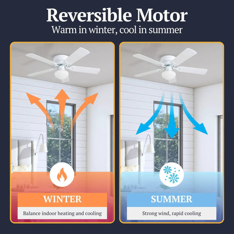 Diagram showing Alvina 42 Inch Ceiling Fan With Light and LED Kit's reversible motor function for winter and summer use.