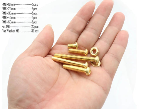 Copper Yellow M6 Machine Screw Assortment Kit With Nuts And Flat Washers, 80 Pieces, bolts in hand