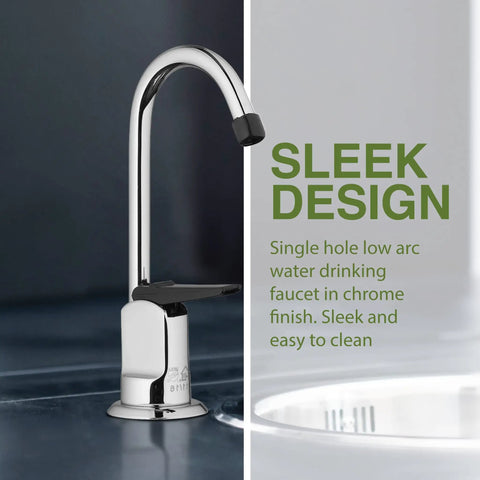 Top Shelf One Handle Low Arc Chrome Faucet For Countertop With Lead Free Drinking Water Flow, sleek chrome finish and easy to clean design.