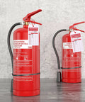Bulk Fire Extinguisher Inspection Tags Kit With 200 Tags, 200 Adjustable Zip Ties, and 200 Monthly and Annual Safety Tags for Fire Equipment, 4.2 by 2.1 Inch displayed on fire extinguishers