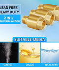 Two brass 3/4 in NPT spring check valves, inline backflow preventers for water systems.