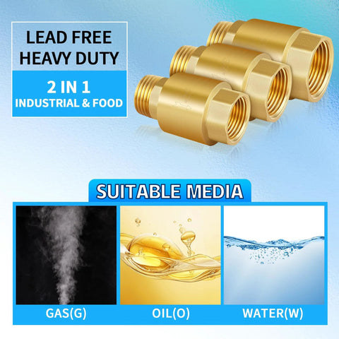 Two brass 3/4 in NPT spring check valves, inline backflow preventers for water systems.