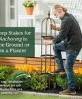Metal Garden Obelisk Trellis For Climbing Plants Indoor Outdoor Use Powder Coated Steel Built To Last In All Weather