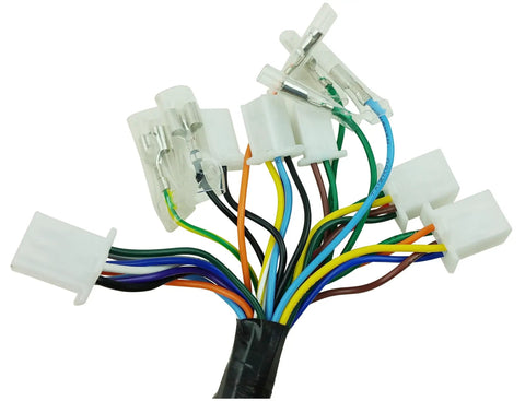 Complete GY6 Wiring Harness For 50cc 70cc 90cc 110cc 125cc 4 Stroke ATVs Mopeds Dirt Bikes Go Karts Ride Ready Replacement Upgrade TaoTao VIP 139QMB