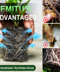 3 Gallon Gopher And Mole Proof Wire Baskets 5 Pack Stainless Steel Underground Root Guard Mesh Baskets for healthy roots protection.