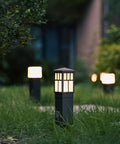 Low Voltage Outdoor Path Lights 8 Pack LED Landscape Lights 12V Warm White 3200K illuminating garden walkway at dusk
