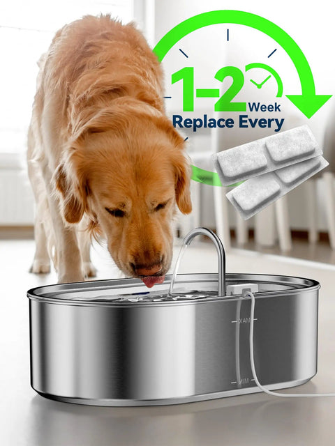 Golden Retriever drinking from 13L Stainless Steel Dog Water Fountain for Large Breeds, Deep And Wide Drinking Area, Automatic Pet Water Dispenser