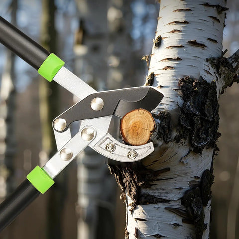 32 Inch Anvil Lopper For Tree Trimming With Compound Action Pro Grade Heavy Duty Steel Blade Cuts Up To 2 Inch Branches Ergonomic Handles