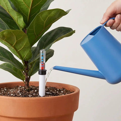 6 Piece Plant Pot Water Level Indicator Set With No Fuss Moisture Meter For Planters, Easy Watering Reminder Gauge, 180ml Capacity, 7.8 Inch, Prevent Overwatering And Underwatering In Your Home Garden. White plastic indicator in terracotta pot
