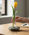 Rock Solid Bloom Bud Vase With Heavy Granite Base And Glass Flower Holder No Tip Stability For Tall Blooms Single Stem Vase