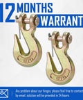 SPARKWHIZ 5/16 in clevis grab hooks (2-pack) forged steel, Grade 70, 5400 lb WLL with pins