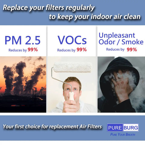 PM2.5 smoke, VOC filter, odor removal with a man holding a paint roller, PureBurg air filter ad
