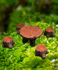 Totally Adorable Miniature Fairy Garden Furniture Set With Resin Table And Four Stump Seats Whimsical Outdoor Indoor Landscape Decor Kit For Micro Gardens.