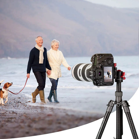 360 Degree Panoramic Ball Head With 1/4 Inch Quick Shoe Plate mounted on tripod in beach setting with couple and dog