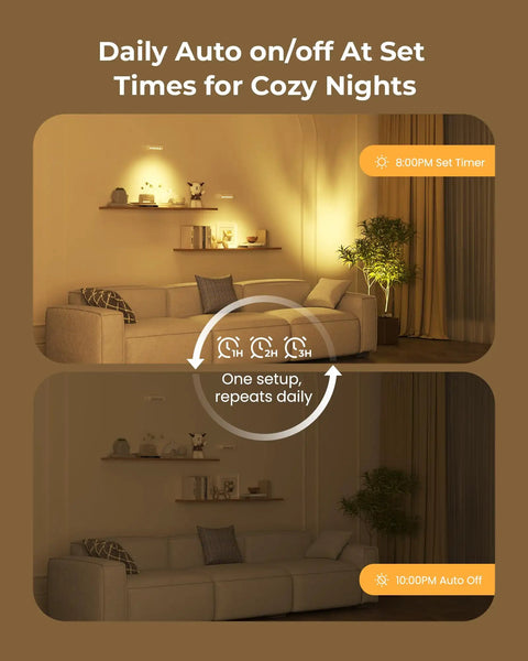 Rechargeable Indoor LED Spotlight Kit With Smart Auto Timer illuminating a cozy living room with plants and artwork.