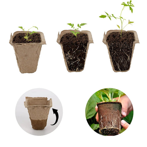 40 Pack Seed Starter Trays With 480 Cells Biodegradable Peat Pots Made From Paper And Grass Charcoal showing plant growth stages