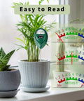 Soil Moisture Meter For Plants, Easy Plant Water Meter And Hygrometer, No Battery Needed in potted plant indoors, gauge close-up
